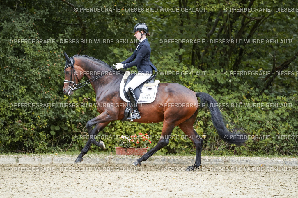 DSC01996 | Pferdegrafie