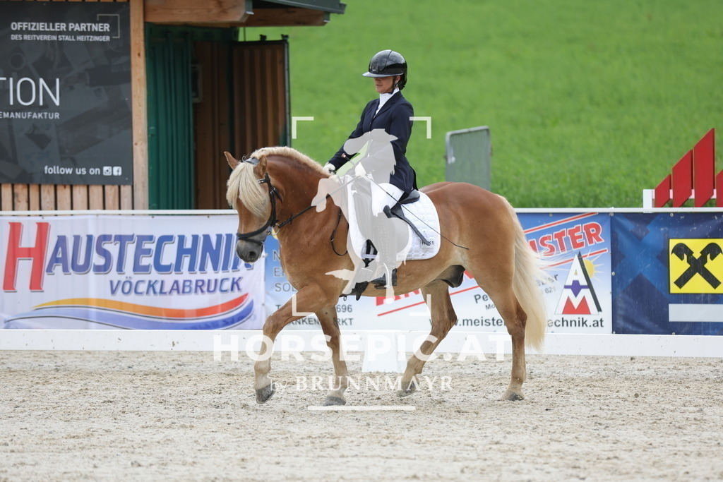 0P6A3609 | Willkommen bei Brunnmayr - Design & Fotografie – Ihrem Spezialisten für Reitturniere und Pferdeveranstaltungen in Oberösterreich, Salzburg und Bayern! Seit über 17 Jahren sind wir leidenschaftlich dabei.