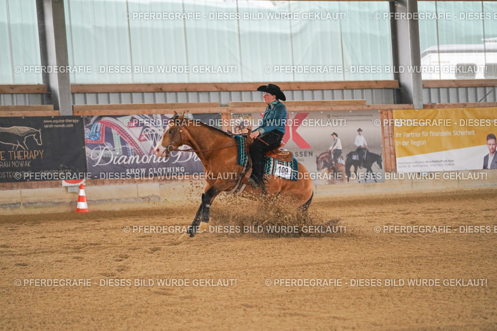 DSC08512 | Pferdegrafie