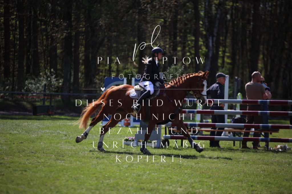 IMGT5601 | pl-fotografie