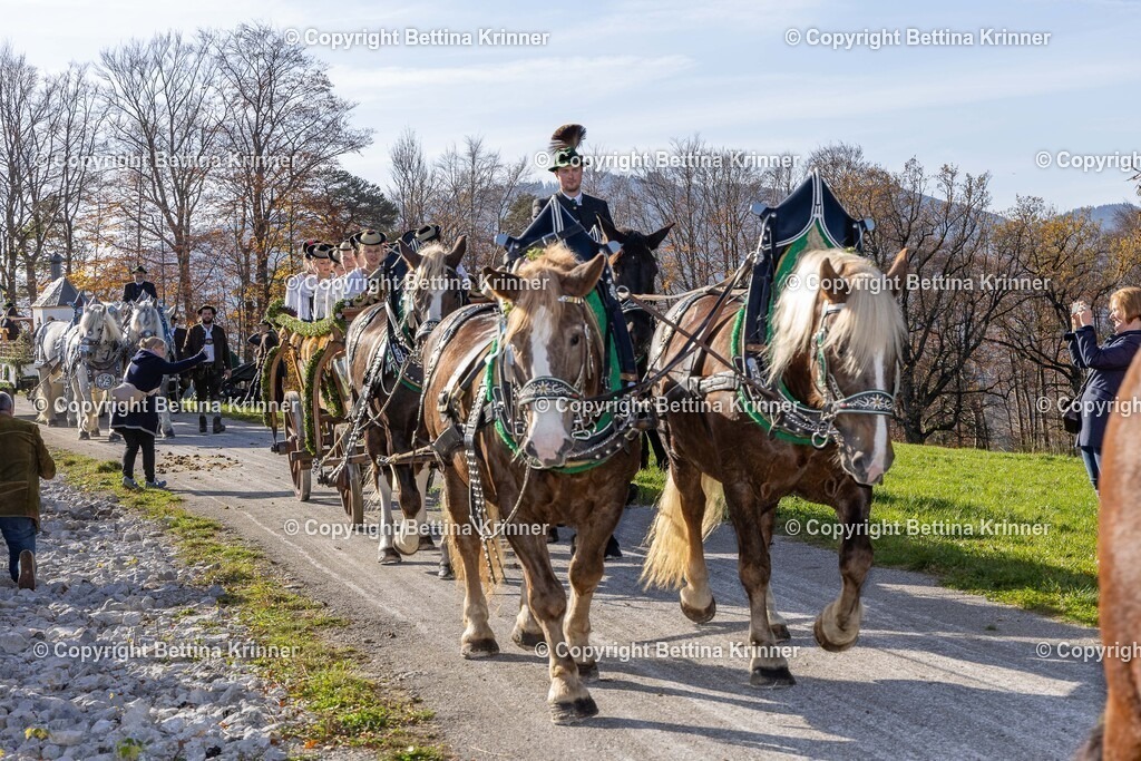 LBT24-1326 | foto-bettina-krinner - Realisiert mit Pictrs.com