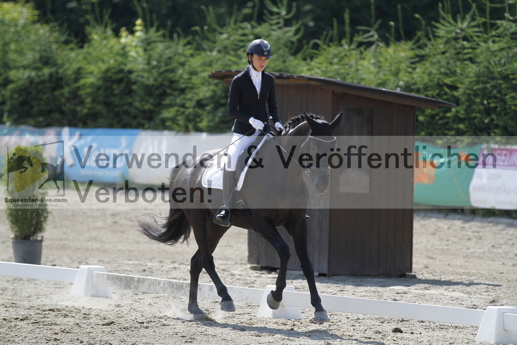 _MG_2012 | equestrian-live-com