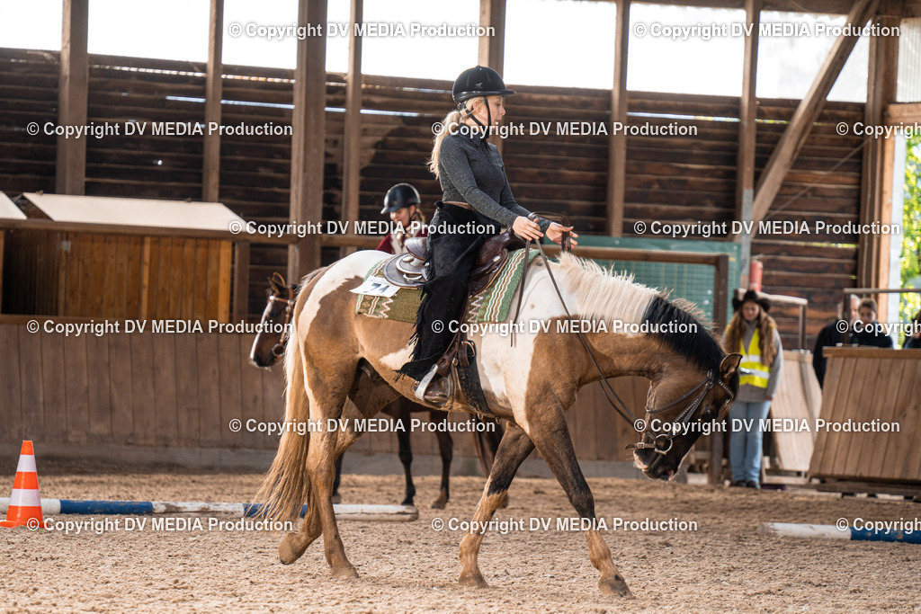 Heidelberg Tag 1-148 | dv-media-shop - Realisiert mit Pictrs.com