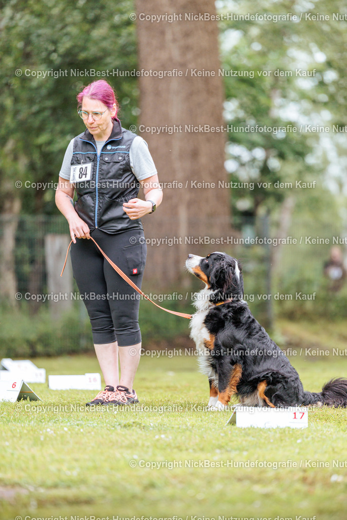 RO-Blumenthal-2026-Nickbest-Hundefotografie-3814 | Dein Hund! Dein Moment! Deine Erinnerungen! Hundefotografie in Bremen Blumenthal. Ich fange die besonderen Momente deines Vierbeiners ein – ob Indoor mit Blitzanlage oder in der freien Natur. Sicher dir dein Moment und dein Termin für eure Erinnerungen.
