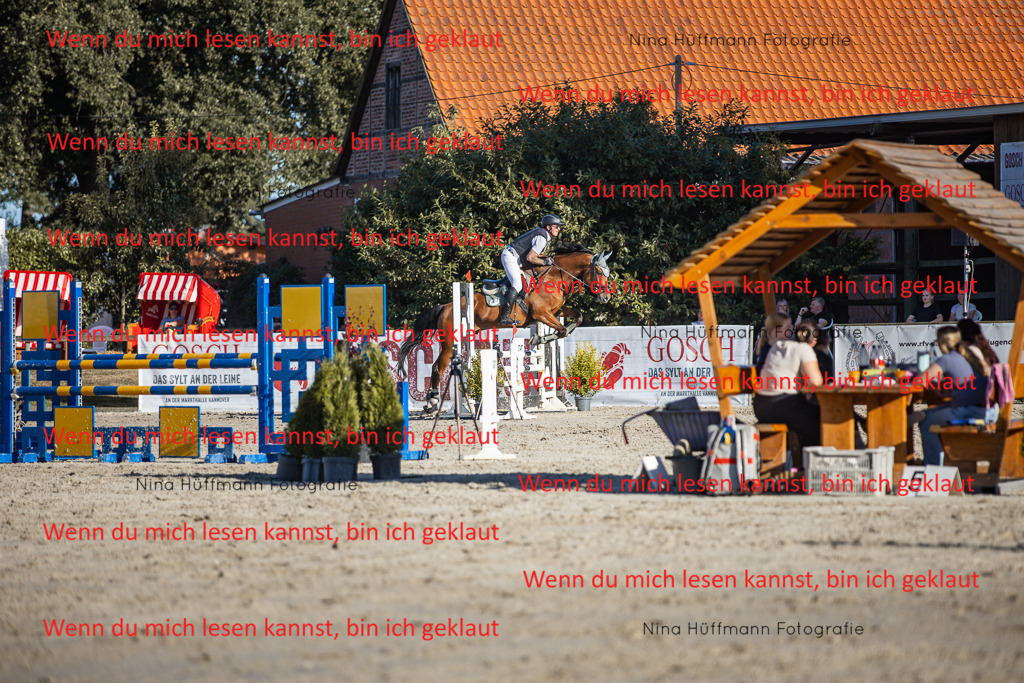 BK1A7766 | Turnierbilder Turnierfotos Nina Hüffmann Turnierfotografie Pferdefotografie Tierzeichnung Haustierzeichnung Pferdezeichnung Hundezeichnung Videograf  - Realisiert mit Pictrs.com