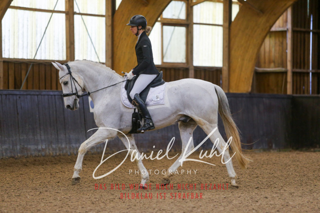 IMG_0097 | Turniersportfotografie; Pferdefotografie; Dressurfotografie