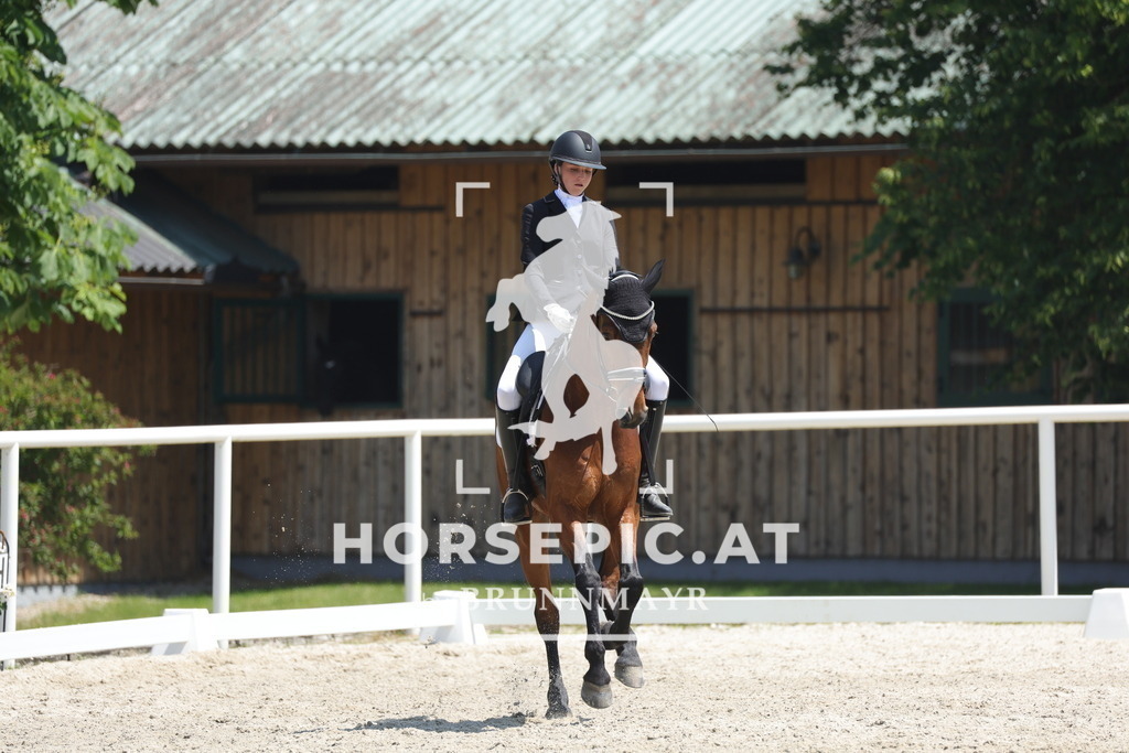 0P6A1653 | Willkommen bei Brunnmayr - Design & Fotografie – Ihrem Spezialisten für Reitturniere und Pferdeveranstaltungen in Oberösterreich, Salzburg und Bayern! Seit über 17 Jahren sind wir leidenschaftlich dabei.