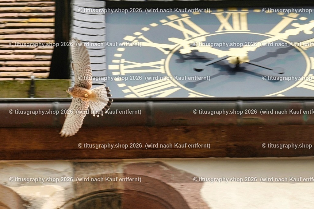 Oberkaufungen | Impressionen aus Oberkaufungen - Realisiert mit Pictrs.com