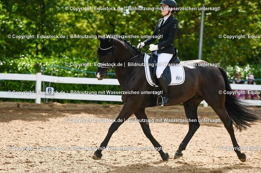 20230715_07_Dressurpferdeprfg. Kl.L_0173 | equistock