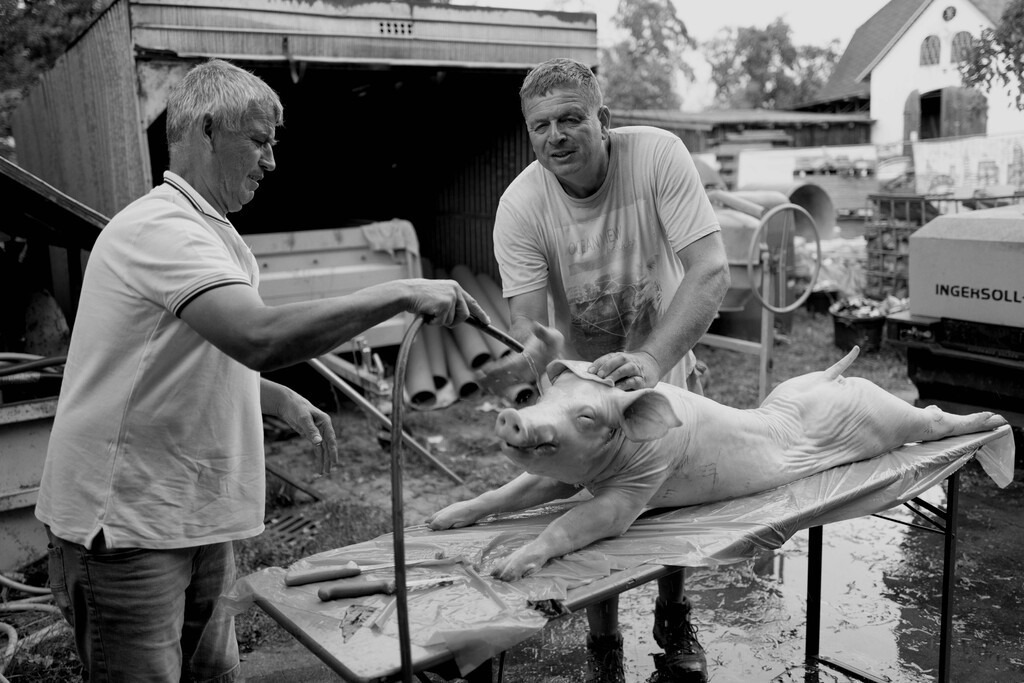 Spanferkel | Buchen Sie ein Fotoshooting in Würzburg oder Umgebung bequem online in meinen Webshop.