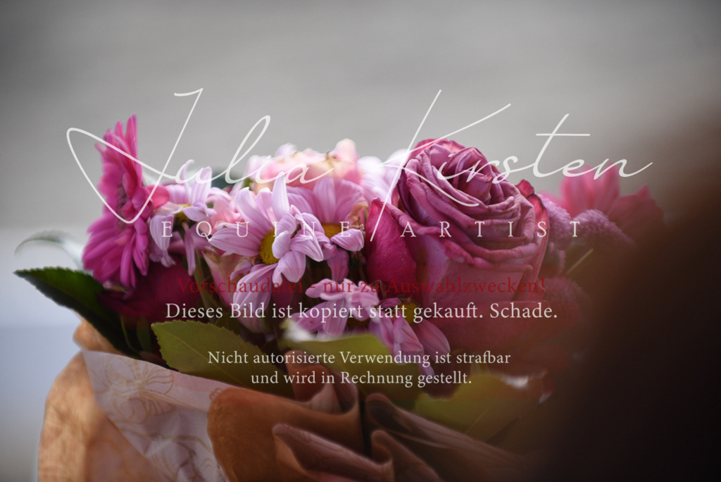 DSC_0515 | Pferde- und Turnierfotografie in Westsachsen. Pferdeportraits, Auftragszeichnungen und intuitive Kunst.