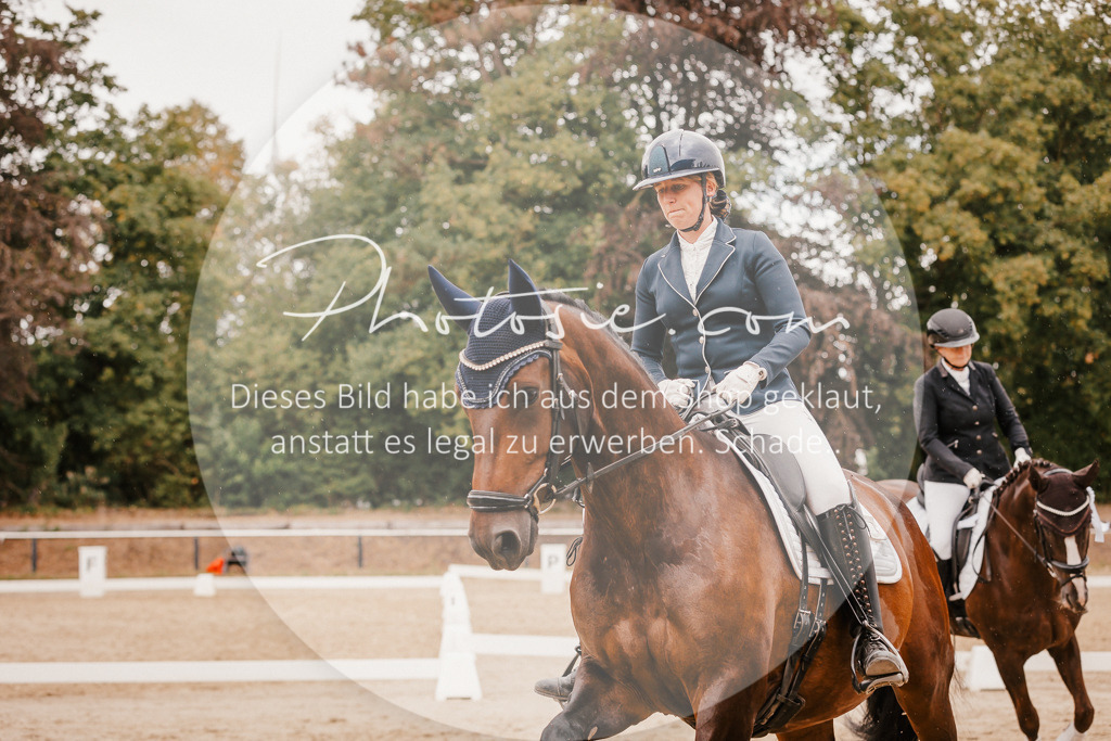 3I6A6441 | Stimmungsvolle Portraits und Reitsportfotografie im Ruhrgebiet und im Münsterland.

Pferdefotografie, Hundefotografie, Tierfotografie, Reportagen, Portraits von Tier und Mensch, Turnierfotografie in Bochum, Recklinghausen, Marl, Haltern am See, Dülmen.. - Realisiert mit Pictrs.com