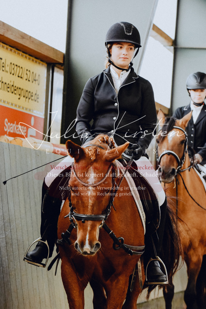 DSC_7275 | Pferde- und Turnierfotografie in Westsachsen. Pferdeportraits, Auftragszeichnungen und intuitive Kunst.
