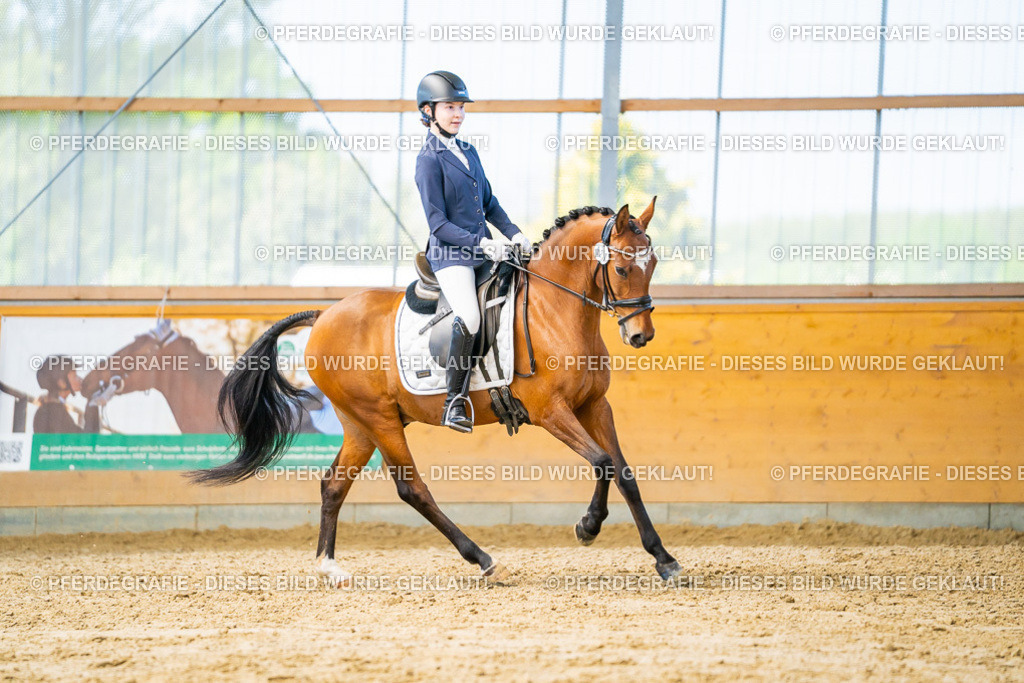 DSC07923 | Pferdegrafie