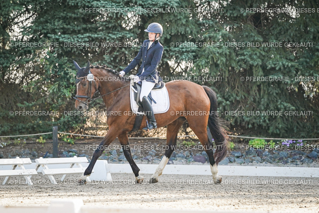 DSC07884 | Pferdegrafie