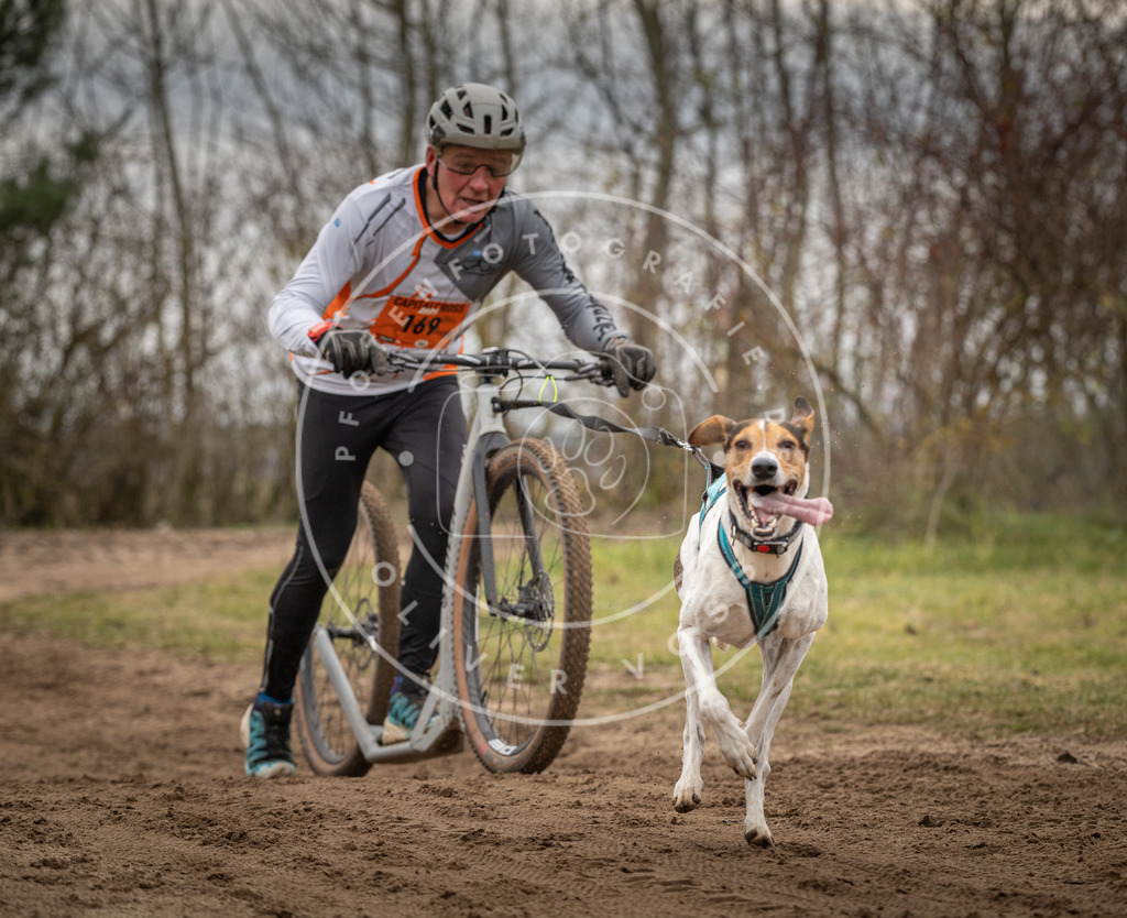 Pfotenfotografie_DV3A9775 | Hundefotografie, Tierfotograf, Pfotenfotografie, Fotoshooting Hund, Hunde Portrait, Hundesport, Hundeportraits, Heideshooting, Hunde, Sportfotograf, Hundefotograf, Turnierhundsport, THS,  - Realisiert mit Pictrs.com