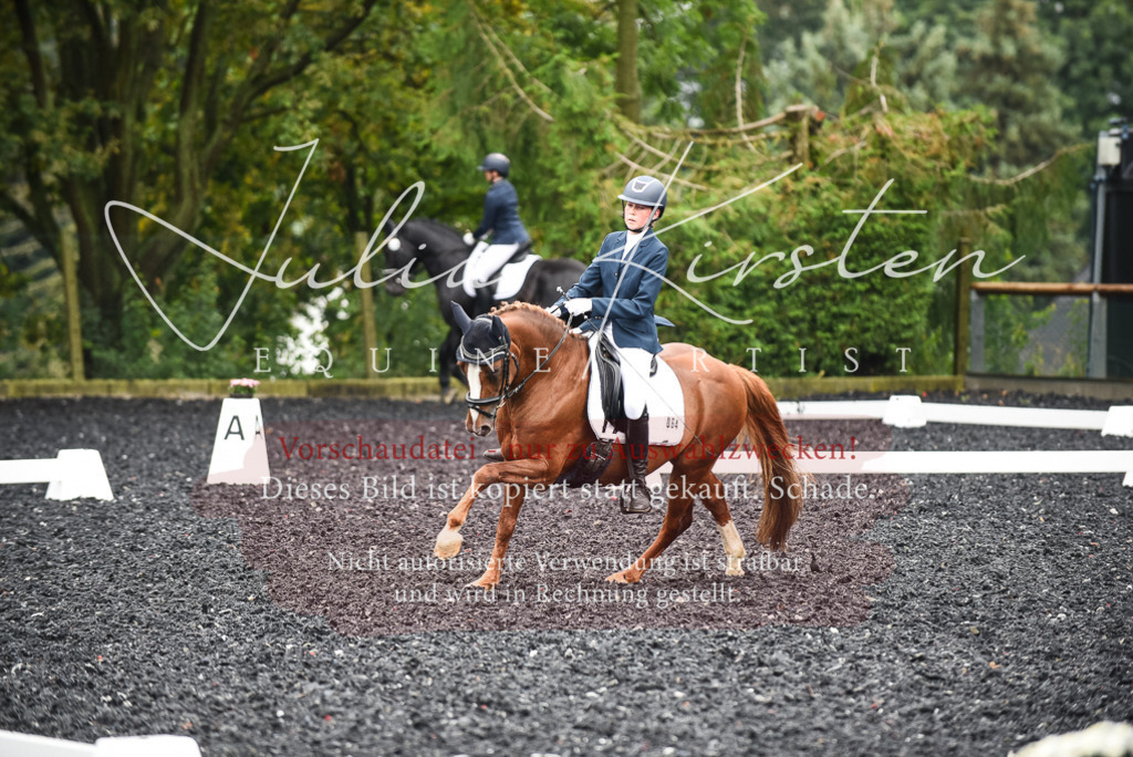 DSC_2845 | Pferde- und Turnierfotografie in Westsachsen. Pferdeportraits, Auftragszeichnungen und intuitive Kunst.