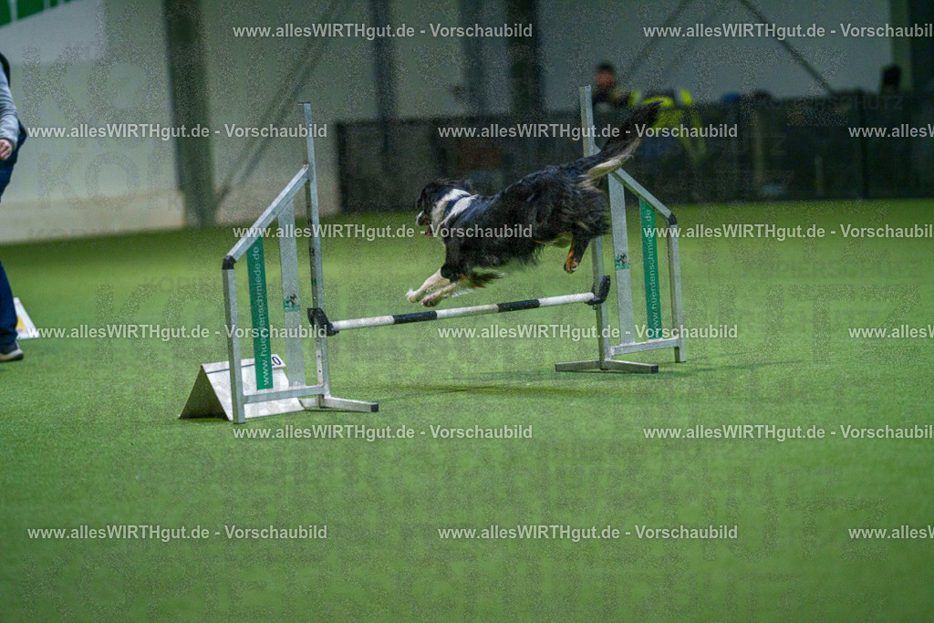 7R500577 | Professionelle Tierfotografie in Mönchengladbach von Daniel Wirth (allesWIRTHgut). Liebevolle & natürliche Bilder von Hunden & Katzen für unvergessliche Erinnerungen.