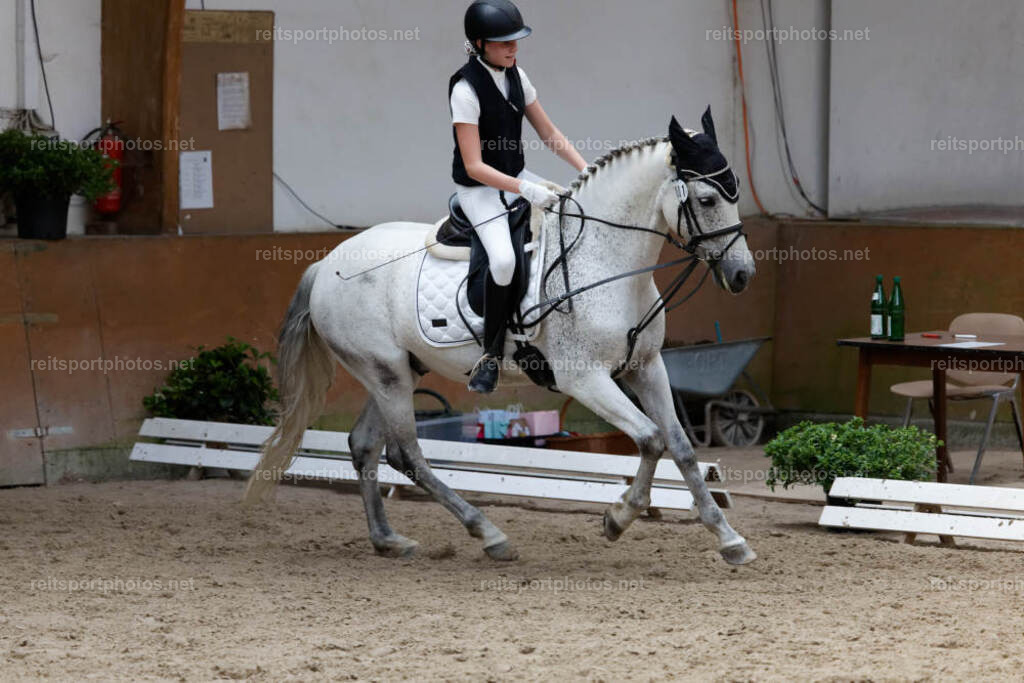 JHE34442 | JoYa Fotografie - Realisiert mit Pictrs.com