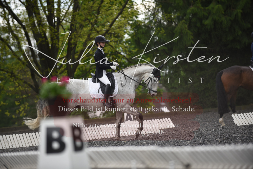 20230513_JK-Röhrsdorf-15-119 | Pferde- und Turnierfotografie in Westsachsen. Pferdeportraits, Auftragszeichnungen und intuitive Kunst.