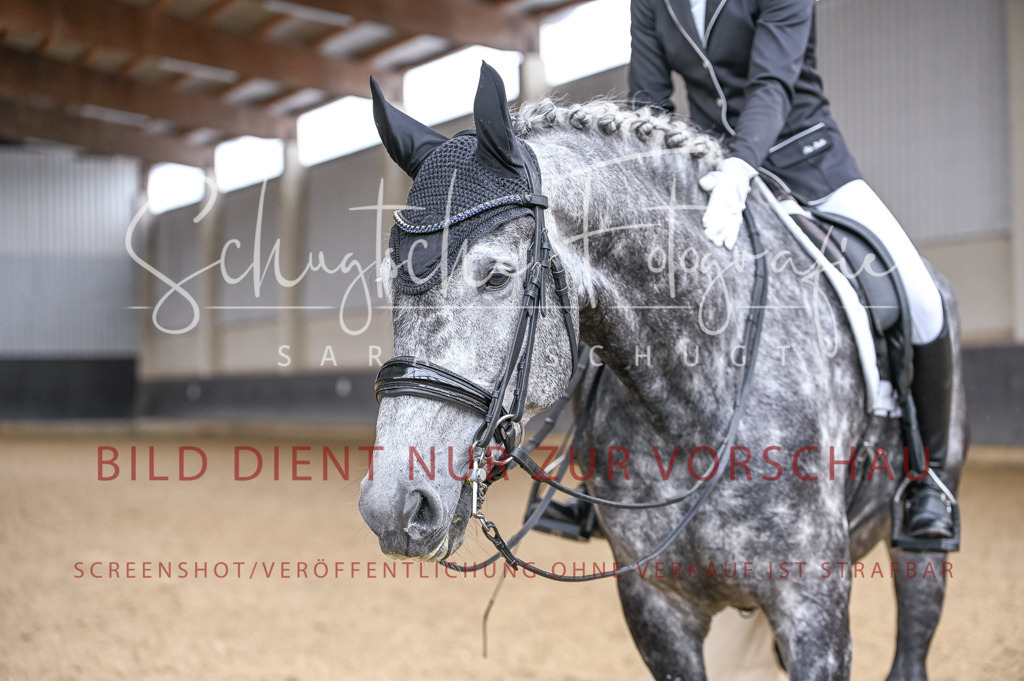 Schugtsche-Aluta25-57.Dressurprf.M1Kand-242 | Schugtsche Fotografie - Realisiert mit Pictrs.com