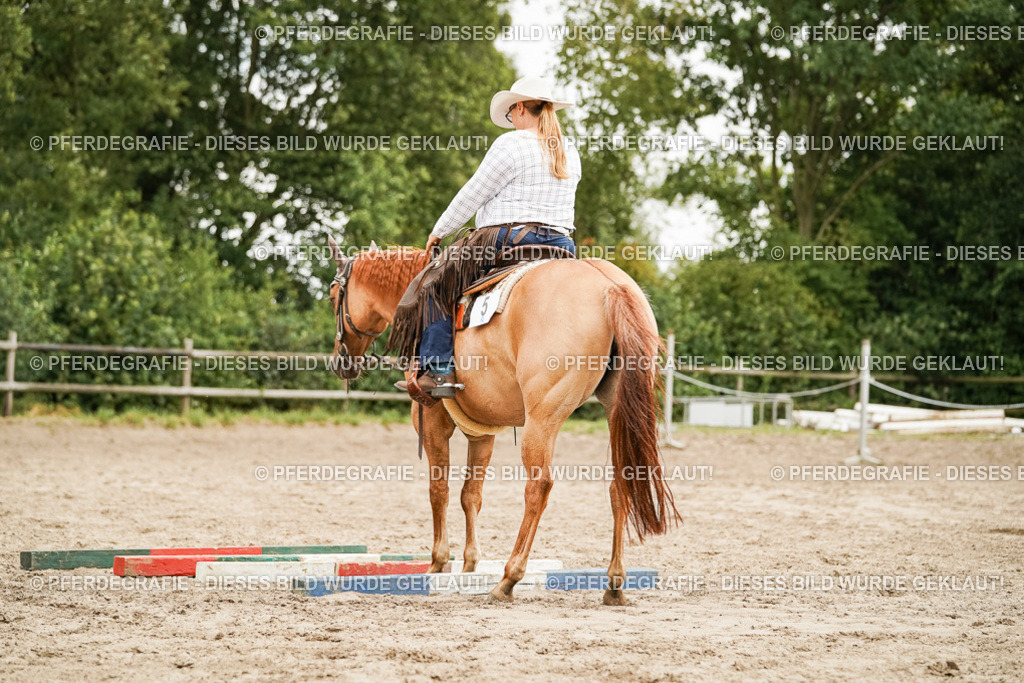 DSC08926 | Pferdegrafie