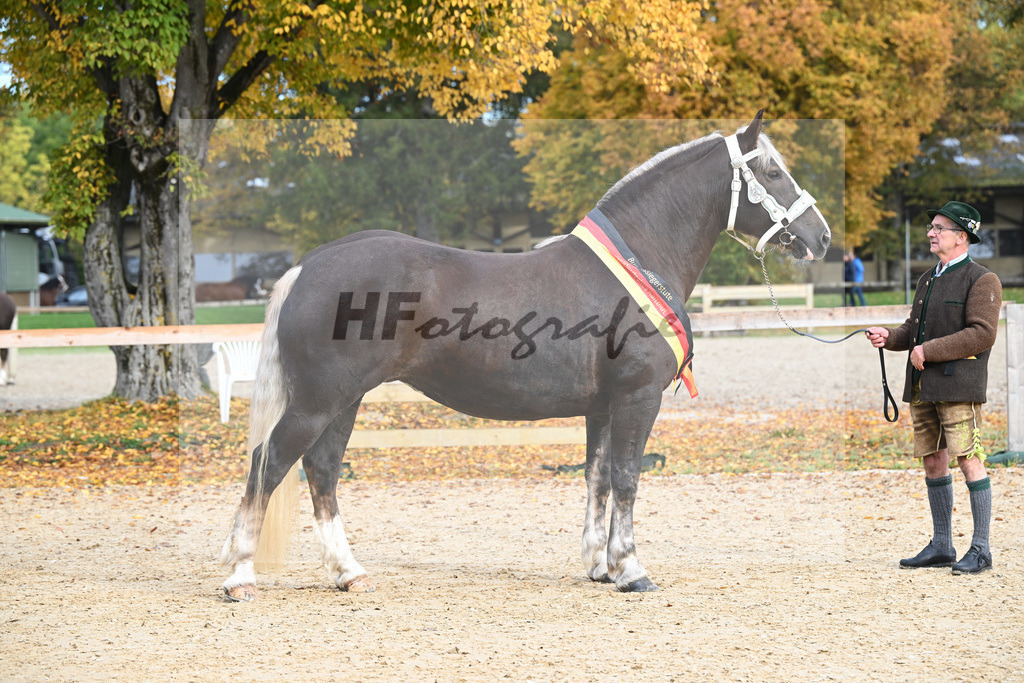 Kat-Nr. 43 Oxana_Steinle_53223050 | hf-fotografie - Realisiert mit Pictrs.com