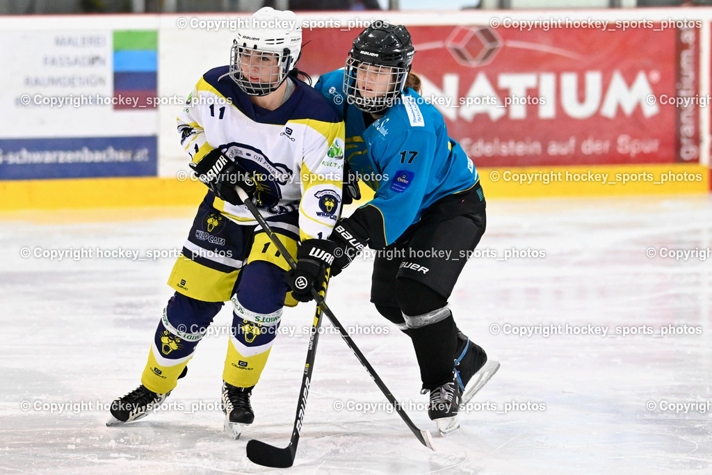 BST_6387 | hockey sports photos, Pressefotos, Sportfotos, hockey247, win 2day icehockeyleague, Handball Austria, Floorball Austria, ÖVV, Kärntner Eishockeyverband, KEHV, KFV, Kärntner Fussballverband, Österreichischer Volleyballverband, Alps Hockey League, ÖFB, 