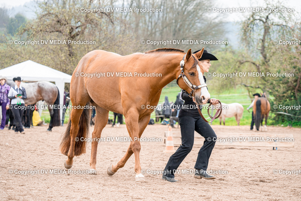 BA300238 | dv-media-shop - Realisiert mit Pictrs.com