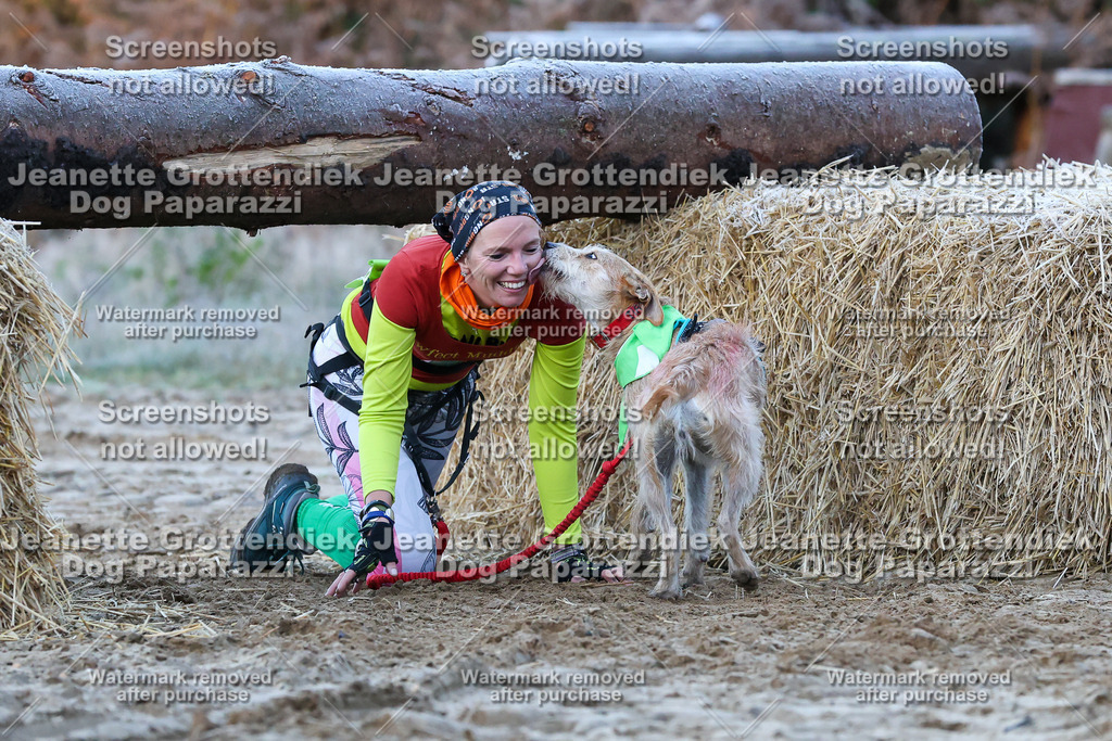 Dog Paparazzi - Strongdog 10-25-240 | Dog Paparazzi Jeanette Grottendiek Fotografie & Videografie - Realisiert mit Pictrs.com