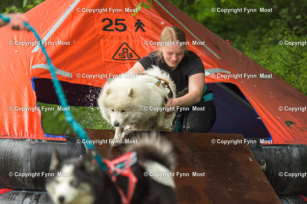 DSC_0391-2 | Hallo und herzlich Willkommen auf meiner Shop-Seite Fynn Most.

Ich wünsche Dir viel Spaß beim stöbern durch die Bilder, wenn Du Fragen hast oder Bilder vermisst, kannst du mir gerne eine Nachricht schreiben. - Realisiert mit Pictrs.com