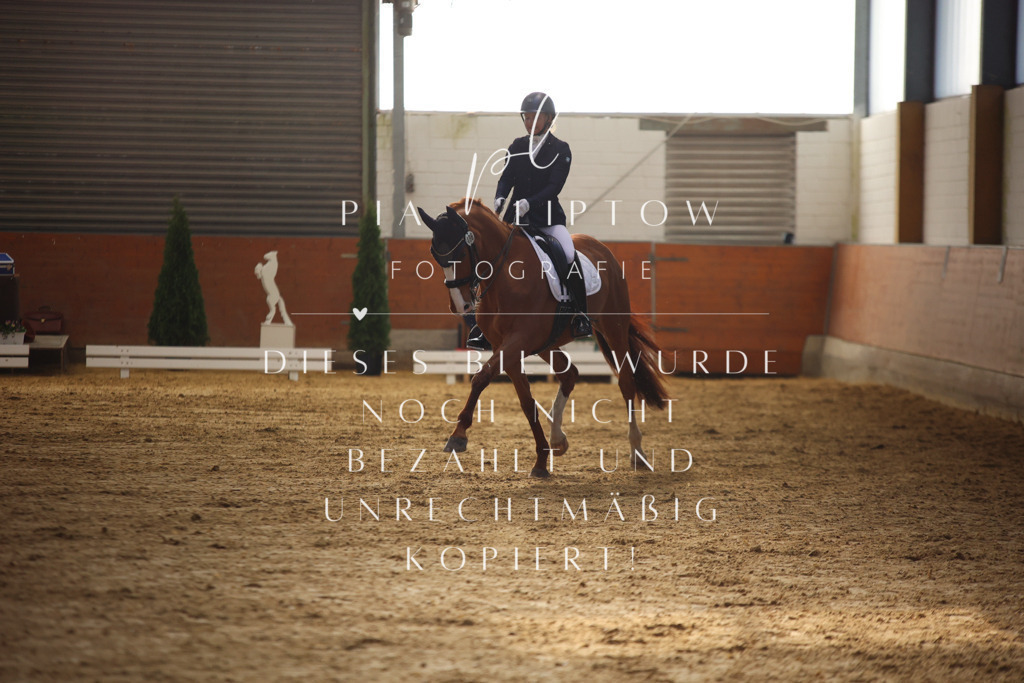 IMGT9720 | pl-fotografie