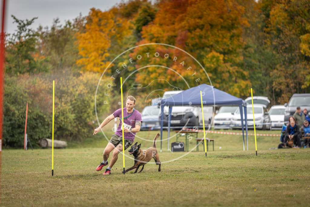 Pfotenfotografie_DV3A8060 | Hundefotografie, Tierfotograf, Pfotenfotografie, Fotoshooting Hund, Hunde Portrait, Hundesport, Hundeportraits, Heideshooting, Hunde, Sportfotograf, Hundefotograf, Turnierhundsport, THS,  - Realisiert mit Pictrs.com
