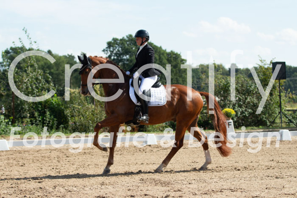 IMG_2633 | Creatify Fotografie