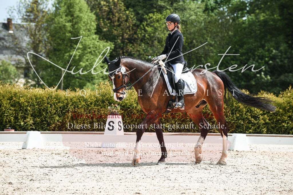20230518_JK-Röhrsdorf-11-0391 | Pferde- und Turnierfotografie in Westsachsen. Pferdeportraits, Auftragszeichnungen und intuitive Kunst.