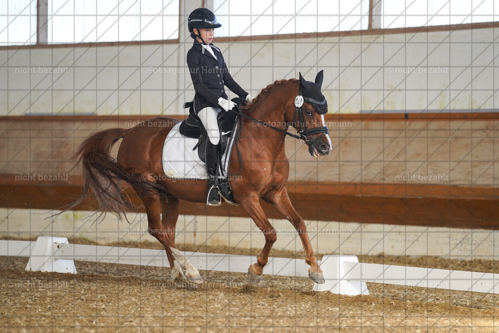 20240824-FAH07227 | Thierhaupten 2024, Bayerisches Landesponyturnier, Turnierbilder, Ponybilder, Turnierfotografen Bayern, Fotoagentur Herrmann