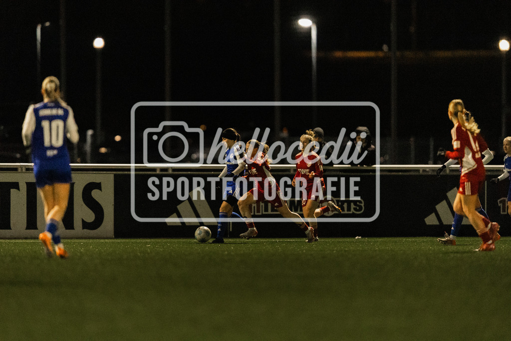 Fußball I Frauen I Saison 2025-2026 I Testspiel I FC Schalke 04 - SpVg Aurich I 14.02.2026-066 | realhellocedii - Realisiert mit Pictrs.com