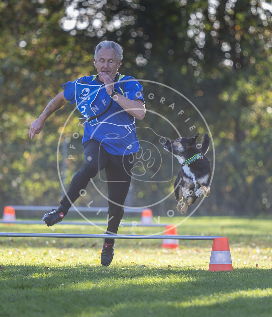 Pfotenfotografie.de_DV3A3089 | Hundefotografie, Tierfotograf, Pfotenfotografie, Fotoshooting Hund, Hunde Portrait, Hundesport, Hundeportraits, Heideshooting, Hunde, Sportfotograf, Hundefotograf, Turnierhundsport, THS, canicross - Realisiert mit Pictrs.com