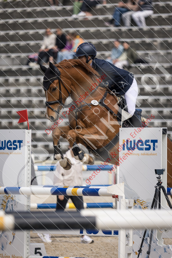 IMG_4744 | Sport-, Event- und Tierfotos in Profiqualität. Einfach auswählen, bestellen und herunterladen. Dein Moment – perfekt festgehalten.