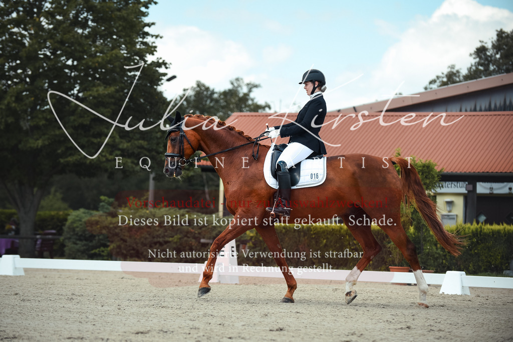DSC_9096 | Pferde- und Turnierfotografie in Westsachsen. Pferdeportraits, Auftragszeichnungen und intuitive Kunst.