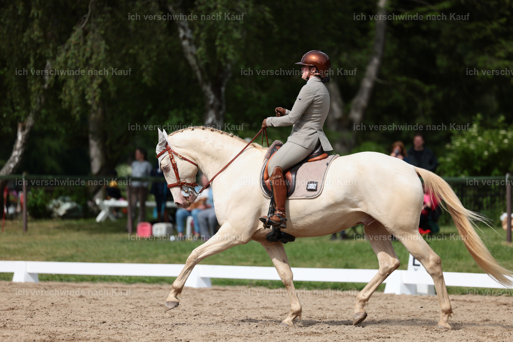 Masterclass_stoibphotography_C2_L5026.JPG | working equitationturnier fotograf videograf stoibphotography marixx film working equitation deutschland reitsport turnierfotografie eventfotografie equestrian events