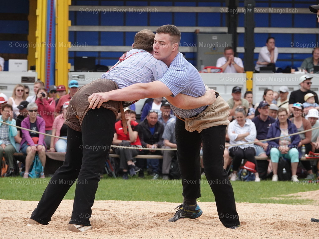 DSC07503 | Schwingen - Realisiert mit Pictrs.com