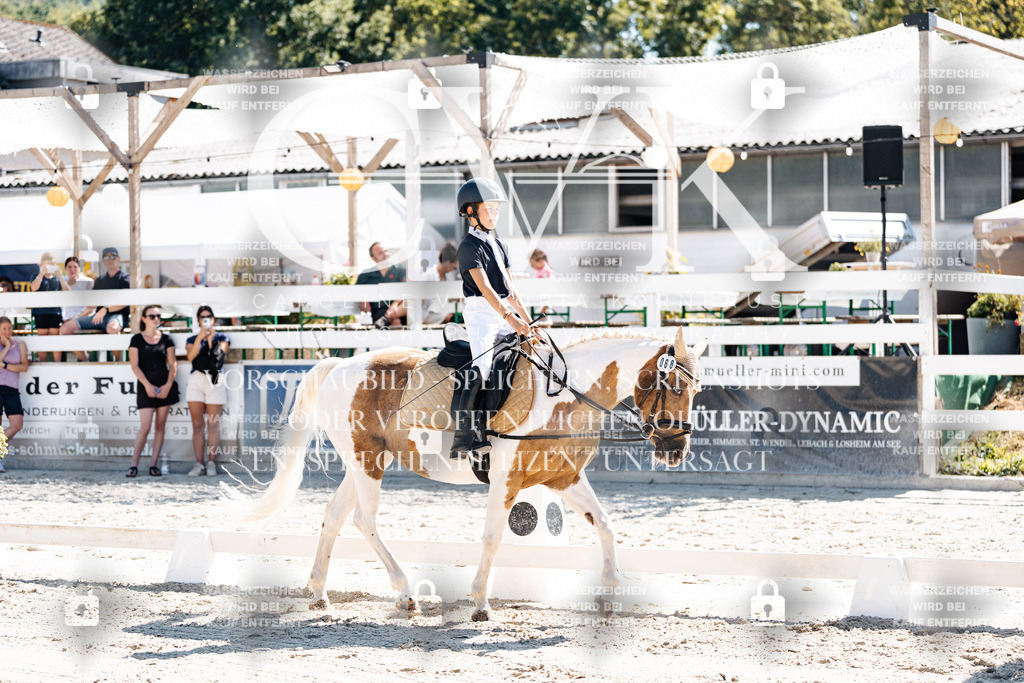 CK902419 | Turnierfotografie Pferdefotografie Trier Rheinland-Pfalz Pferdesport Reitsport Tierfotografie Sportfotografie Pferdevideo Pferdevideografie Equestrianvideography equestrianphotography  - Realisiert mit Pictrs.com