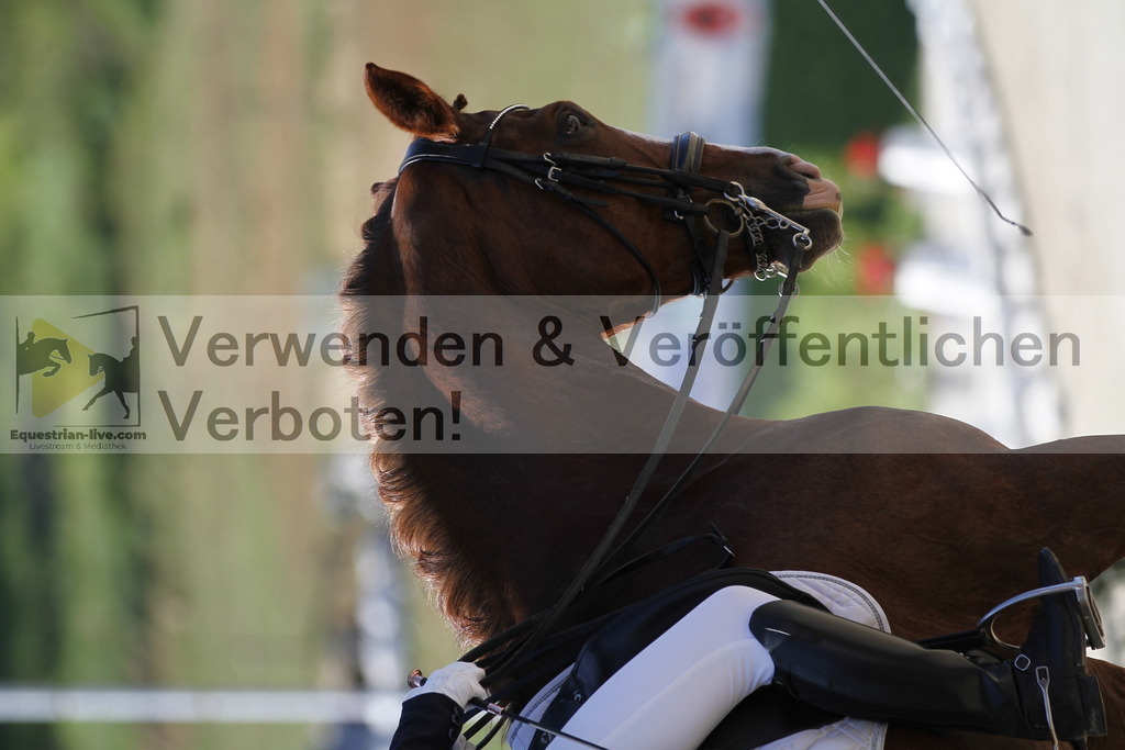 _MG_2903 | equestrian-live-com