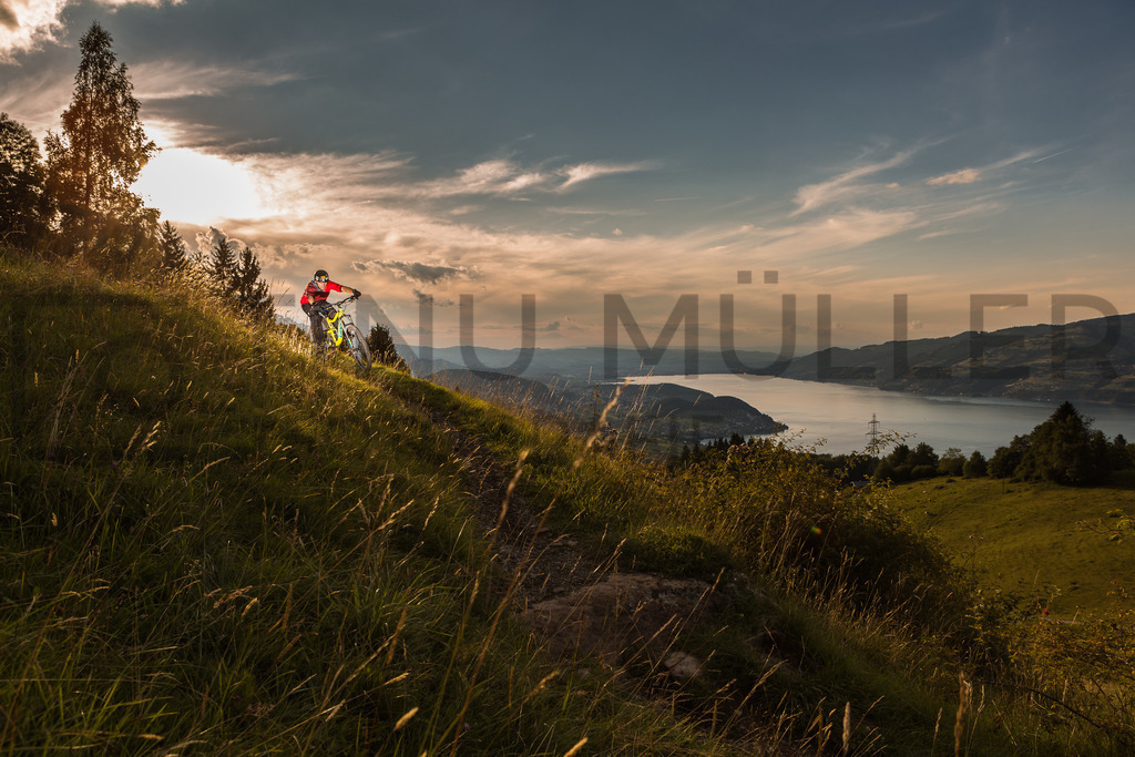 _04A4716 | Tinu Müller Fotografie- Bildershop - Realisiert mit Pictrs.com