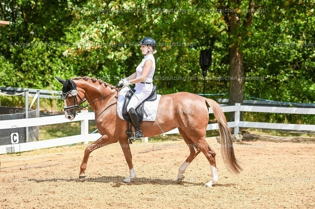 20230716_03_Dressurprfg. Kl.L - Tr._0489 | equistock