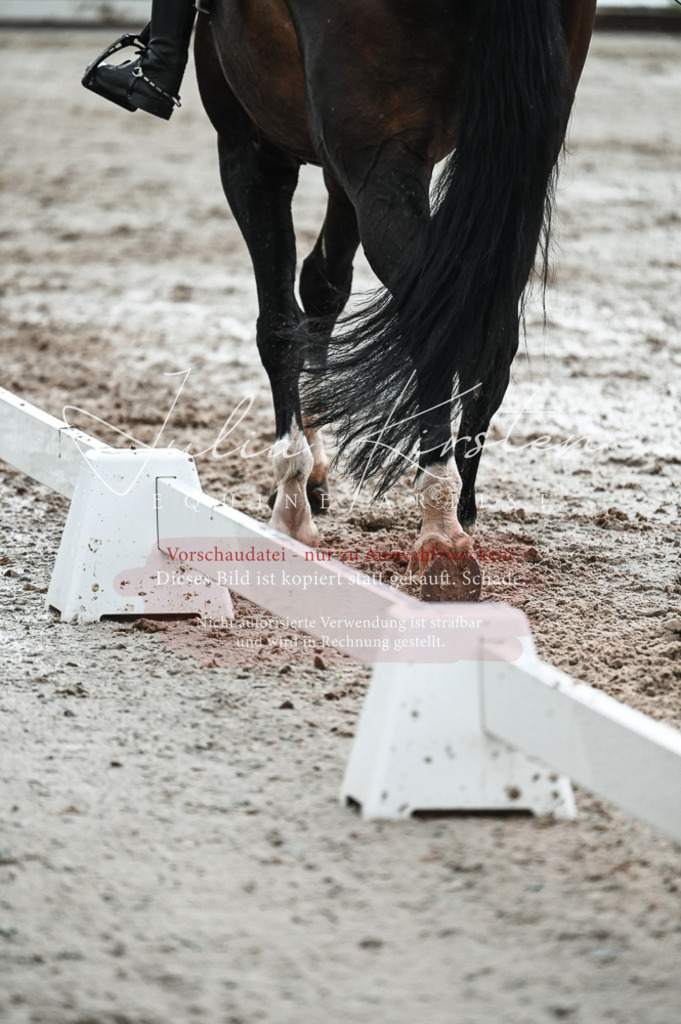 DSC_4353 | Pferde- und Turnierfotografie in Westsachsen. Pferdeportraits, Auftragszeichnungen und intuitive Kunst.