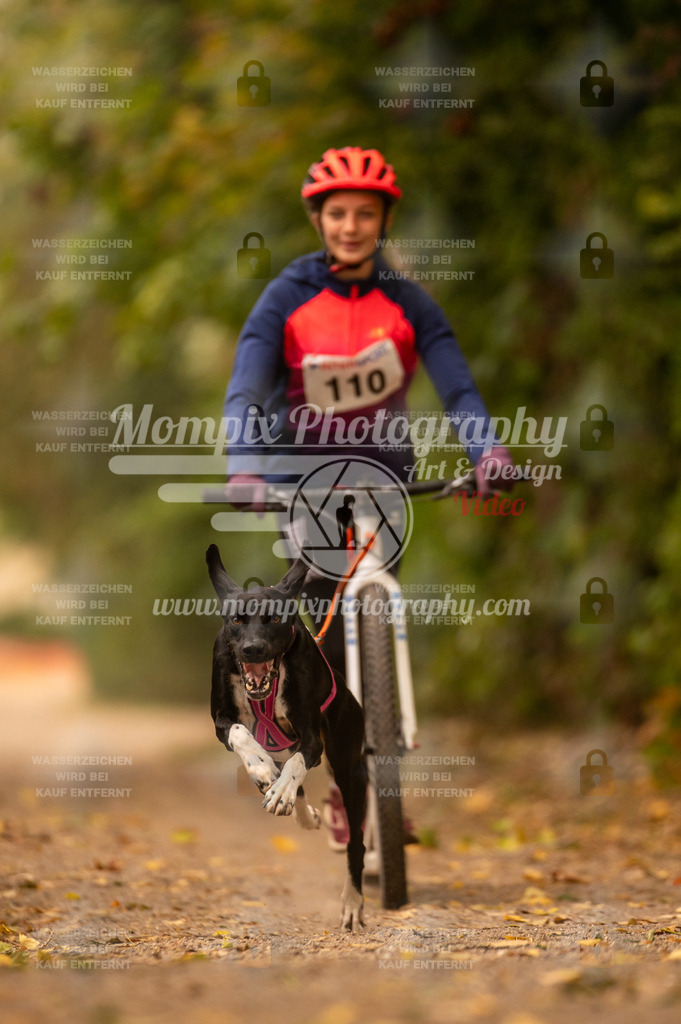CDLBDB_14_10_2023_Samedi-172 | mompixphotography