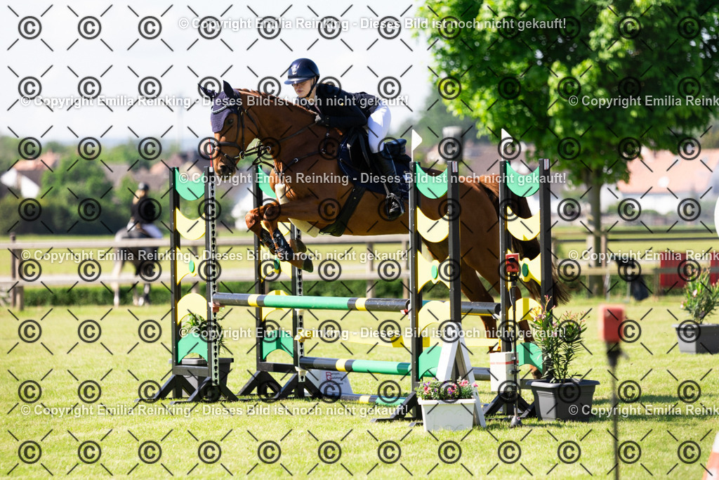 CL5A8200 | Emilia Reinking Fotografie - Realisiert mit Pictrs.com