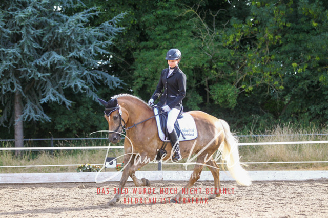 DKP45527 | Turniersportfotografie; Pferdefotografie; Dressurfotografie